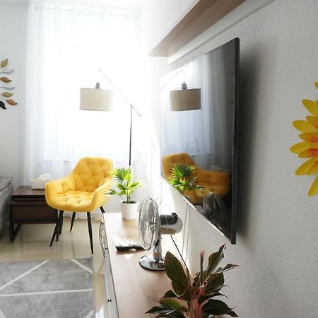 Mein Apartment Flowers Mit Kamin, Bis 10 Personen Frankenthal  Esterno foto