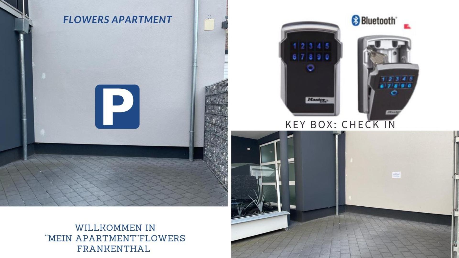 Mein Apartment Flowers Mit Kamin, Bis 10 Personen Frankenthal  Esterno foto